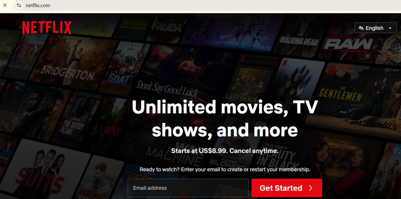 成功访问 Netflix