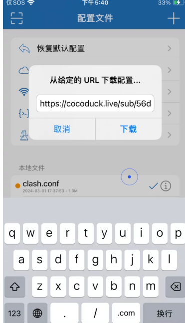 粘贴订阅链接后点击下载
